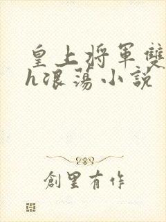 皇上将军双性高h浪荡小说