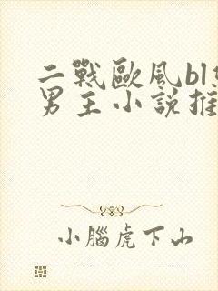 二战欧风bl双男主小说推荐