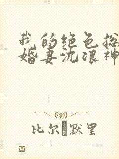 我的绝色总裁未婚妻沈浪神卫封面