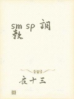 sm sp 调教