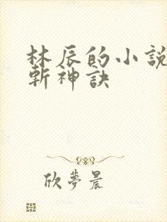 林辰的小说九天斩神诀封面