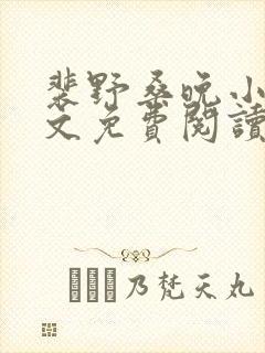 裴野桑晚小说全文免费阅读最新章节