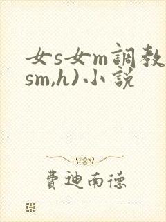 女s女m调教(sm,h)小说