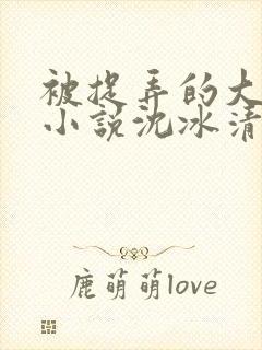 被捉弄的大小姐小说沈冰清txt