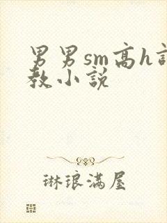 男男sm高h调教小说