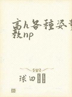 高h各种姿势调教np封面