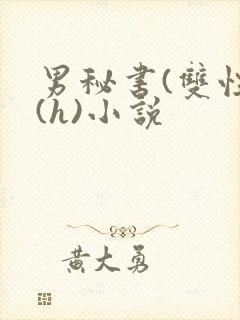 男秘书(双性)(h)小说