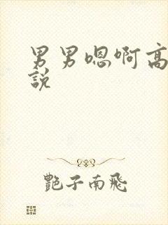 男男嗯啊高h小说