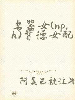名器女(np,h)背德女配h