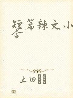 短篇辣文小说集合