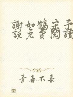 谢如鹤宋予朵小说免费阅读最新章节封面