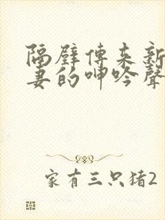 隔壁传来新婚娇妻的呻吟声小说