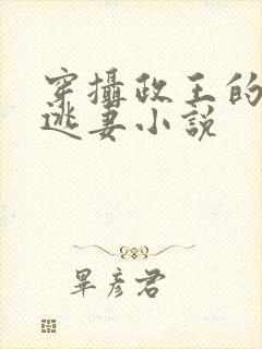 穿摄政王的侍爱逃妻小说