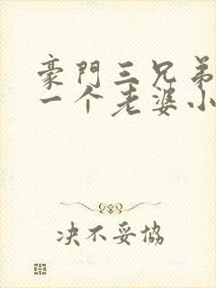 豪门三兄弟共用一个老婆小说豪门兄