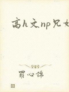高h文np兄妹
