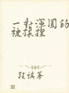 一对浑圆的胸乳被揉捏