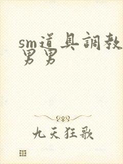 sm道具调教文男男