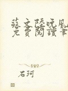 苏文陆晚风小说免费阅读笔趣阁