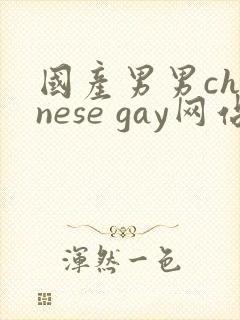 国产男男chinese gay网站