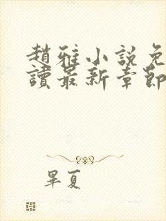 赵雅小说免费阅读最新章节封面