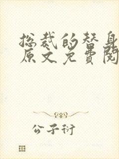 总裁的替身前妻原文免费阅读