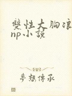 双性大胸浪荡受np小说