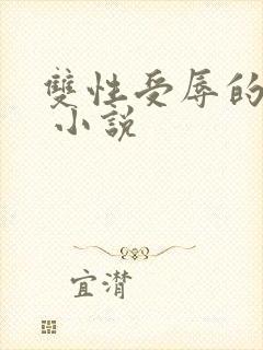 双性受辱的美人 小说封面