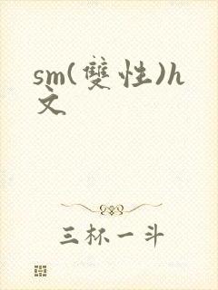 sm(双性)h文