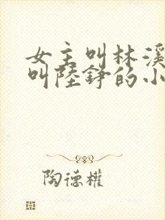 女主叫林溪男主叫陆铮的小说