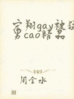 宏翔gay被猛男cao精品
