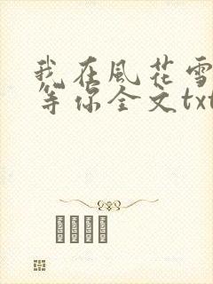 我在风花雪月里等你全文txt