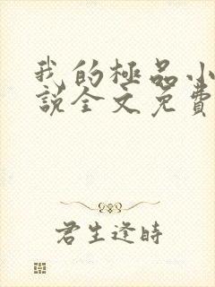 我的极品小姨小说全文免费阅读封面