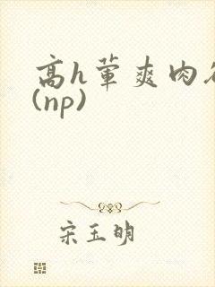 高h荤爽肉欲文(np)