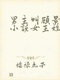 男主叫顾景琛的小说女主姓叶