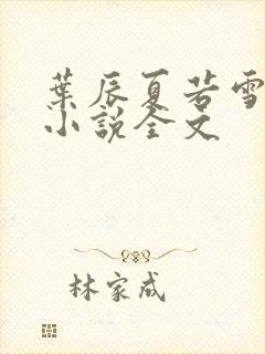 叶辰夏若雪孙怡小说全文