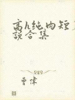 高h纯肉短篇小说合集封面