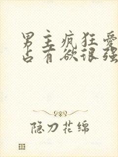 男主疯狂爱女主占有欲很强的小说