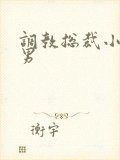 调教总裁小说男男封面