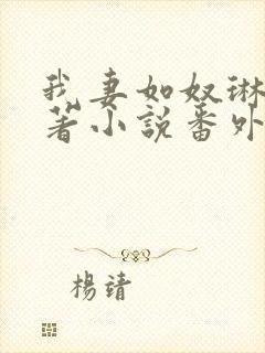 我妻如奴琳涛原著小说番外