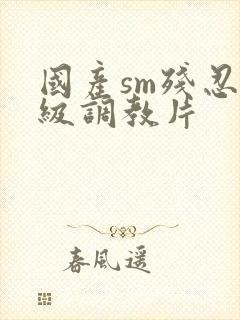 国产sm残忍一级调教片