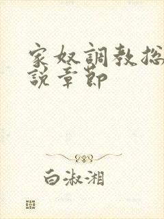 家奴调教总裁小说章节