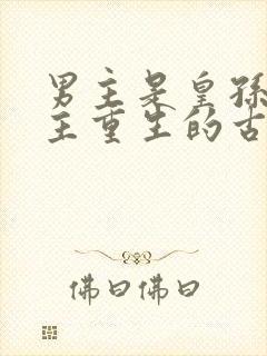 男主是皇孙,女主重生的古言封面