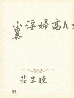 小淫妇高h文黄暴