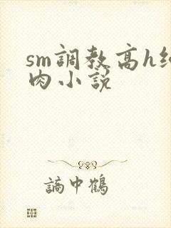 sm调教高h纯肉小说