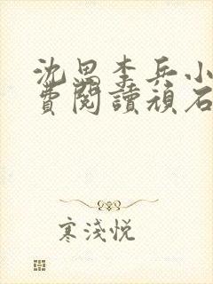 沈思李兵小说免费阅读顽石网