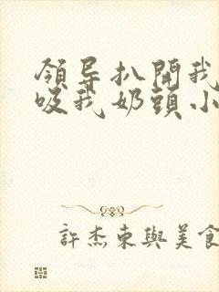 领导扒开我奶罩吸我奶头小说封面