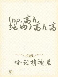 (np,高h,纯肉)高h高辣