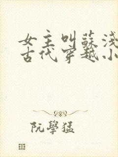 女主叫苏浅浅的古代穿越小说