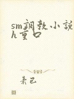 sm调教小说高h重口