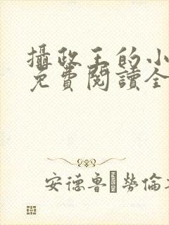 摄政王的小闲妻免费阅读全文